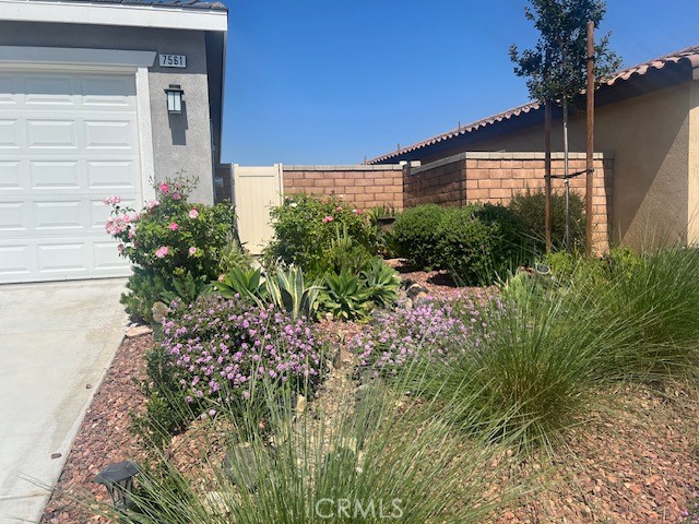 7561 Baerss Road Riverside, CA 92507 - Photo 7 of 24 SIDE FRONT YARD