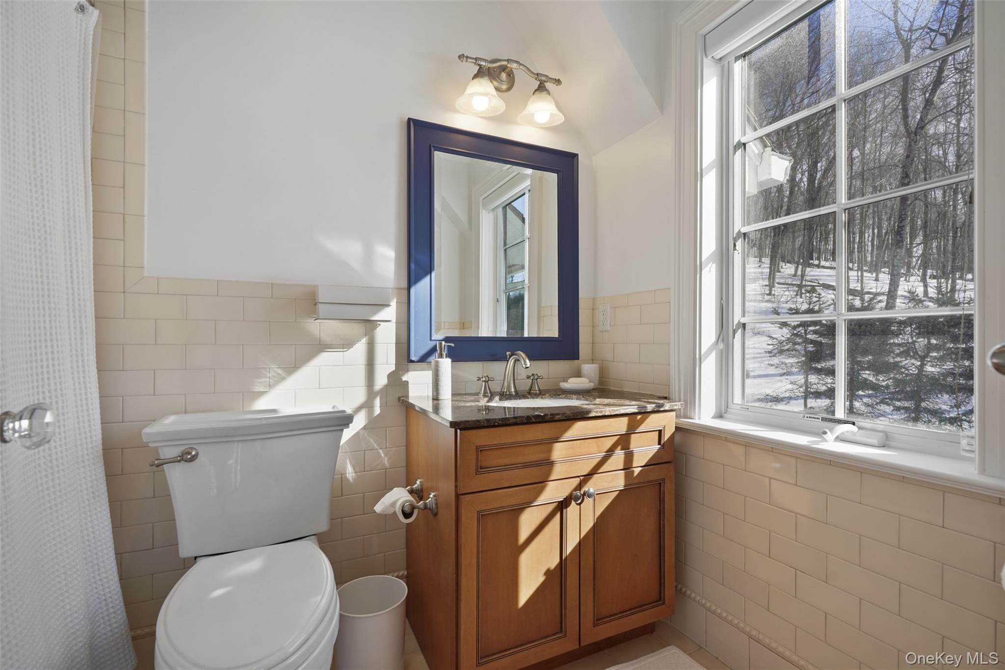 26 Hollow Ridge Road Bedford Corners, NY 10549 - Photo 20 of 39 a bathroom with a toilet a sink and mirror