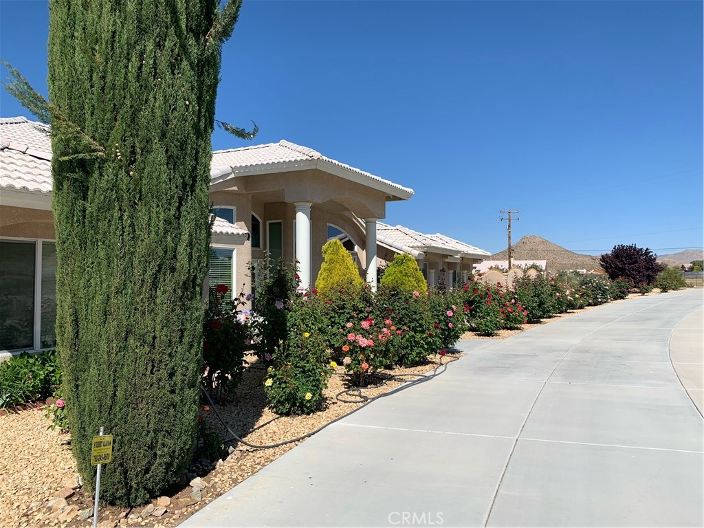 a view of a garden with potted plants