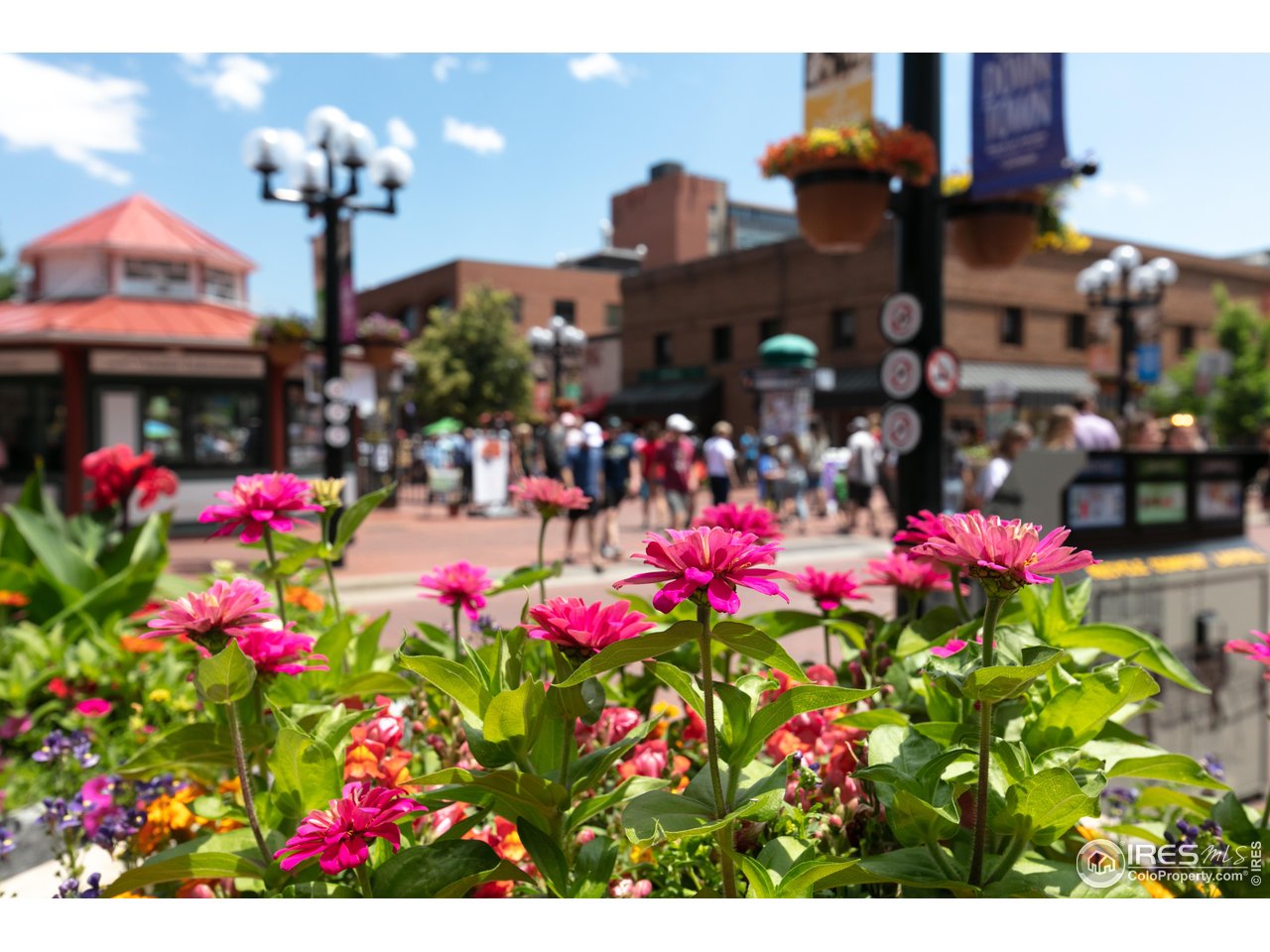 7401 Deerfield Road Longmont, CO 80503 - Photo 48 of 49 Pearl Street walking mall 15 minutes away