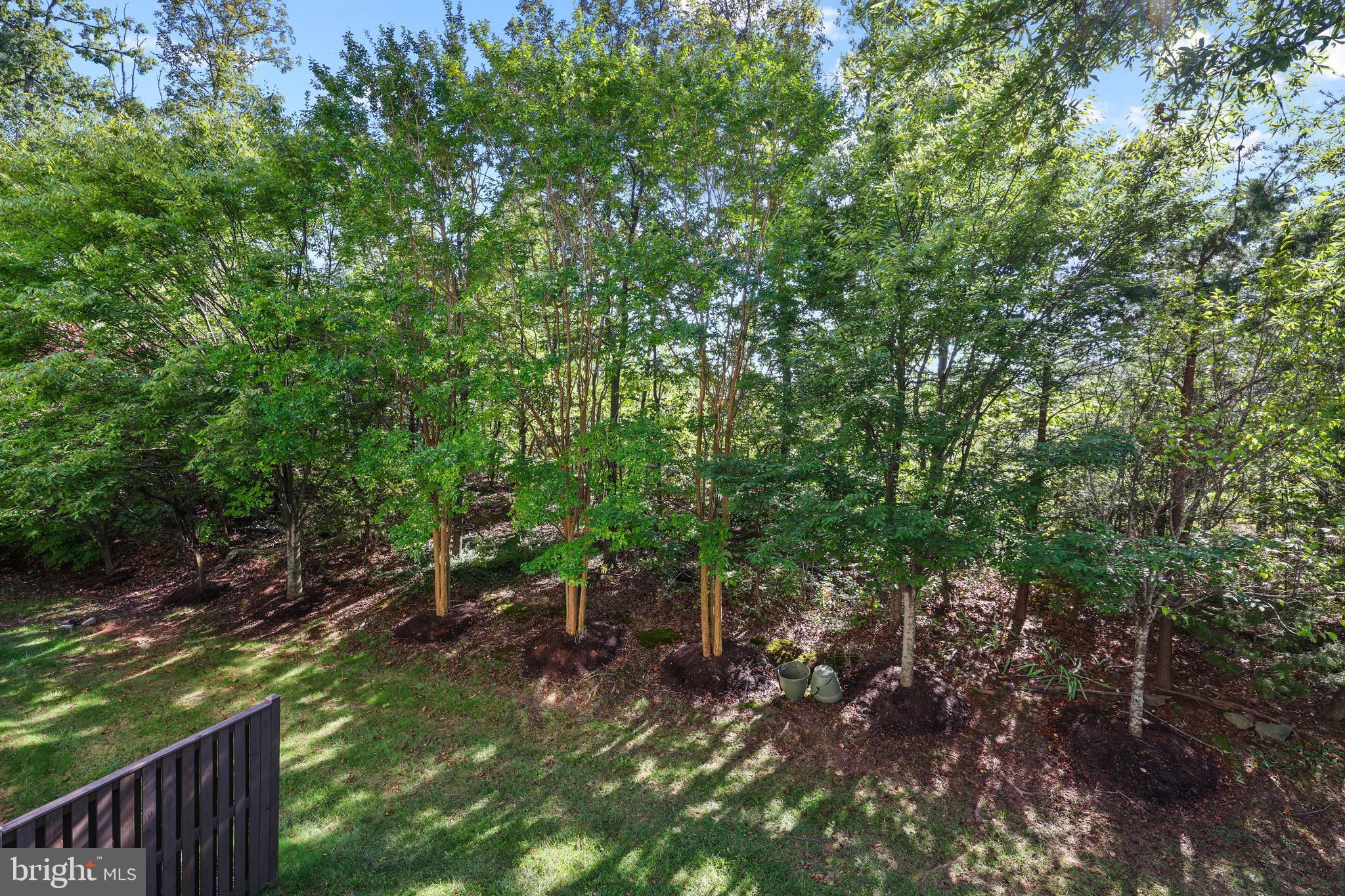 43265 Morven Square Ashburn, VA 20147 - Photo 8 of 23