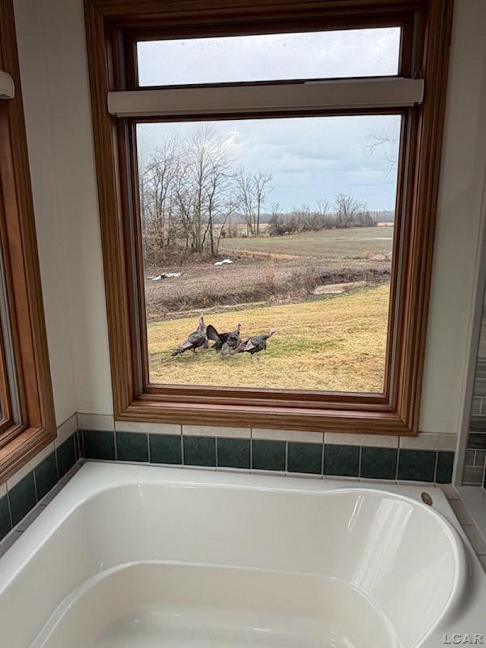 5397 Elm Road Hudson, MI 49247 - Photo 27 of 96