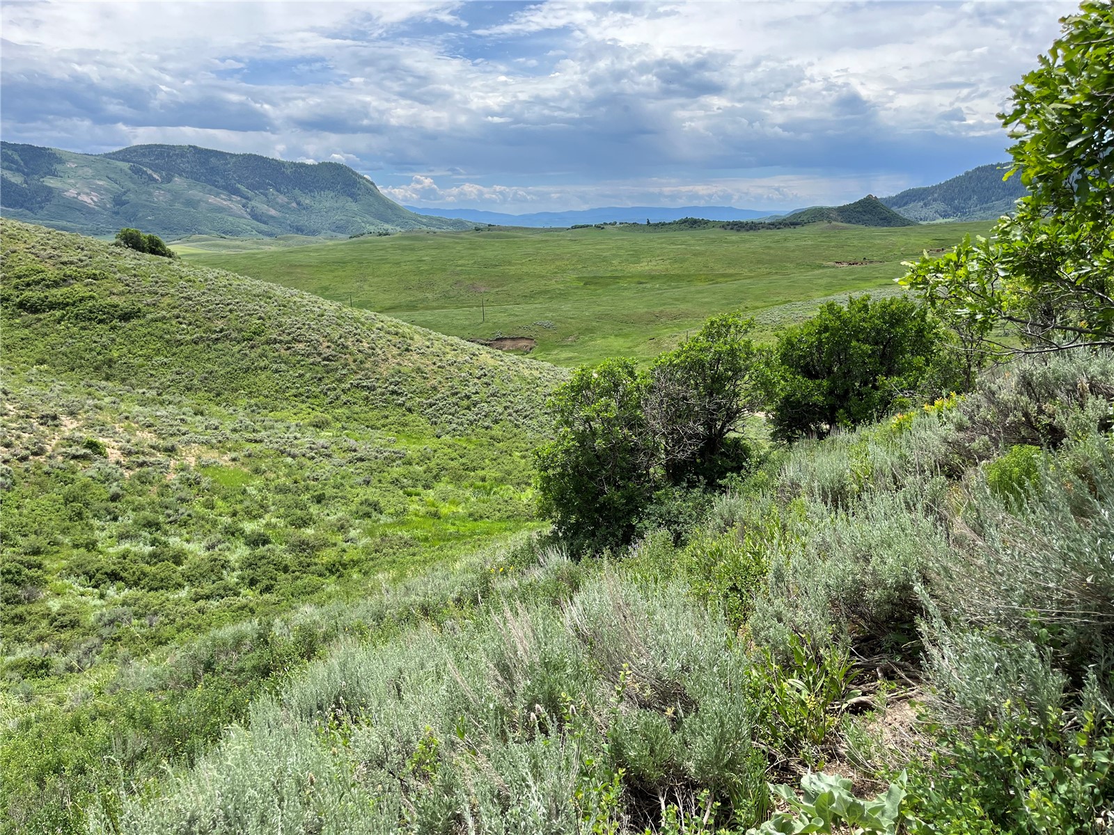 46 Routt County Road Steamboat Springs, CO 80487 - Photo 10 of 23 a view of an ocean with a lush green hillside and a houses