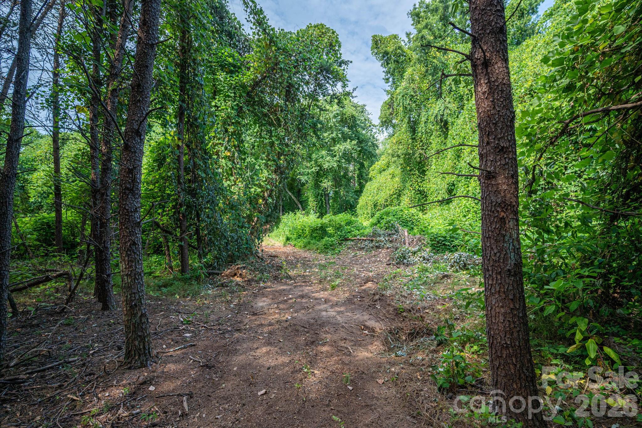 0 Frank Cline Road Vale, NC 28168 - Photo 14 of 17