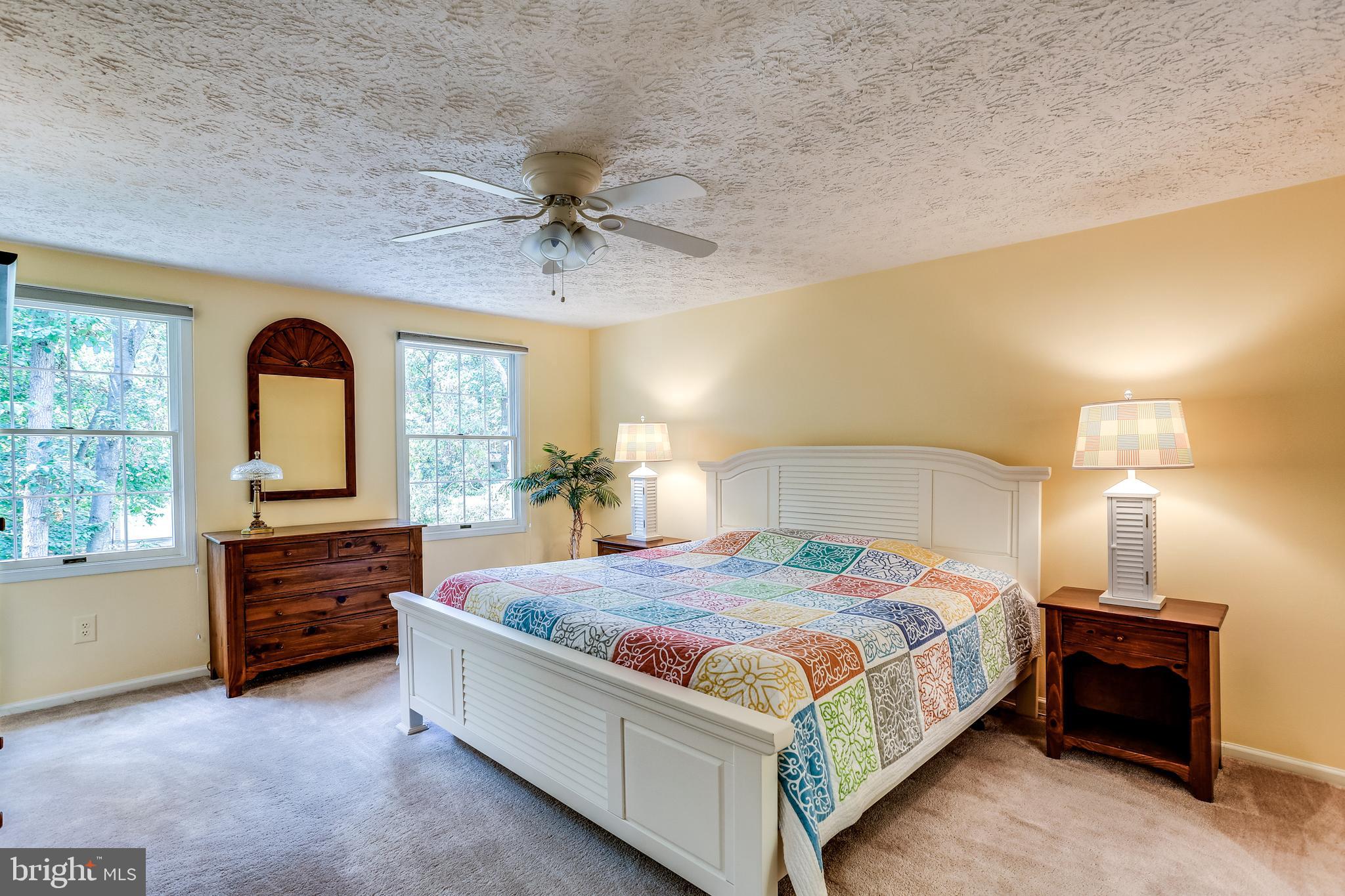 1395 Concord Point Lane Reston, VA 20194 - Photo 15 of 68 Primary suite is spacious and inviting