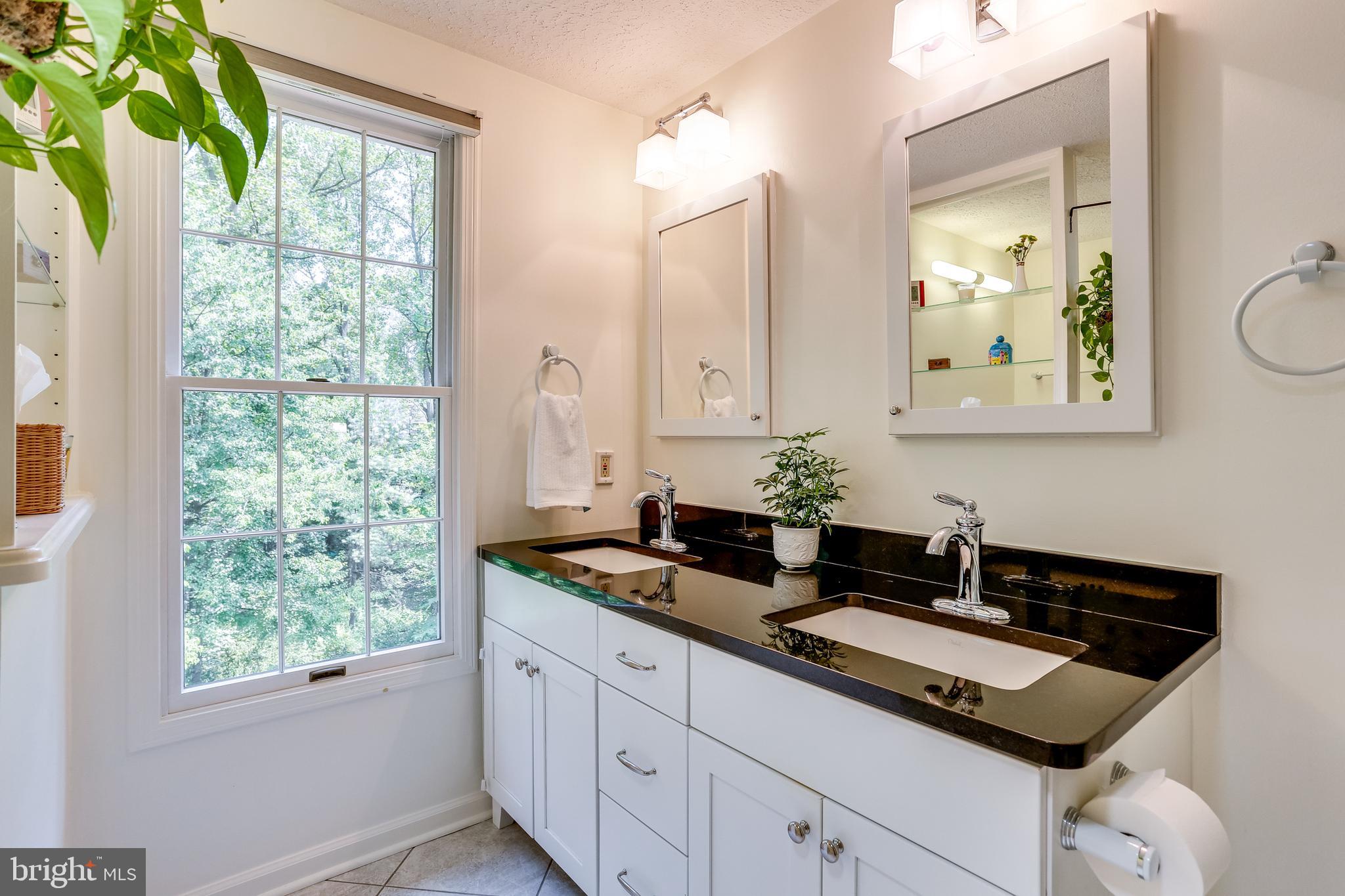 1395 Concord Point Lane Reston, VA 20194 - Photo 17 of 68 Dual vanity sink