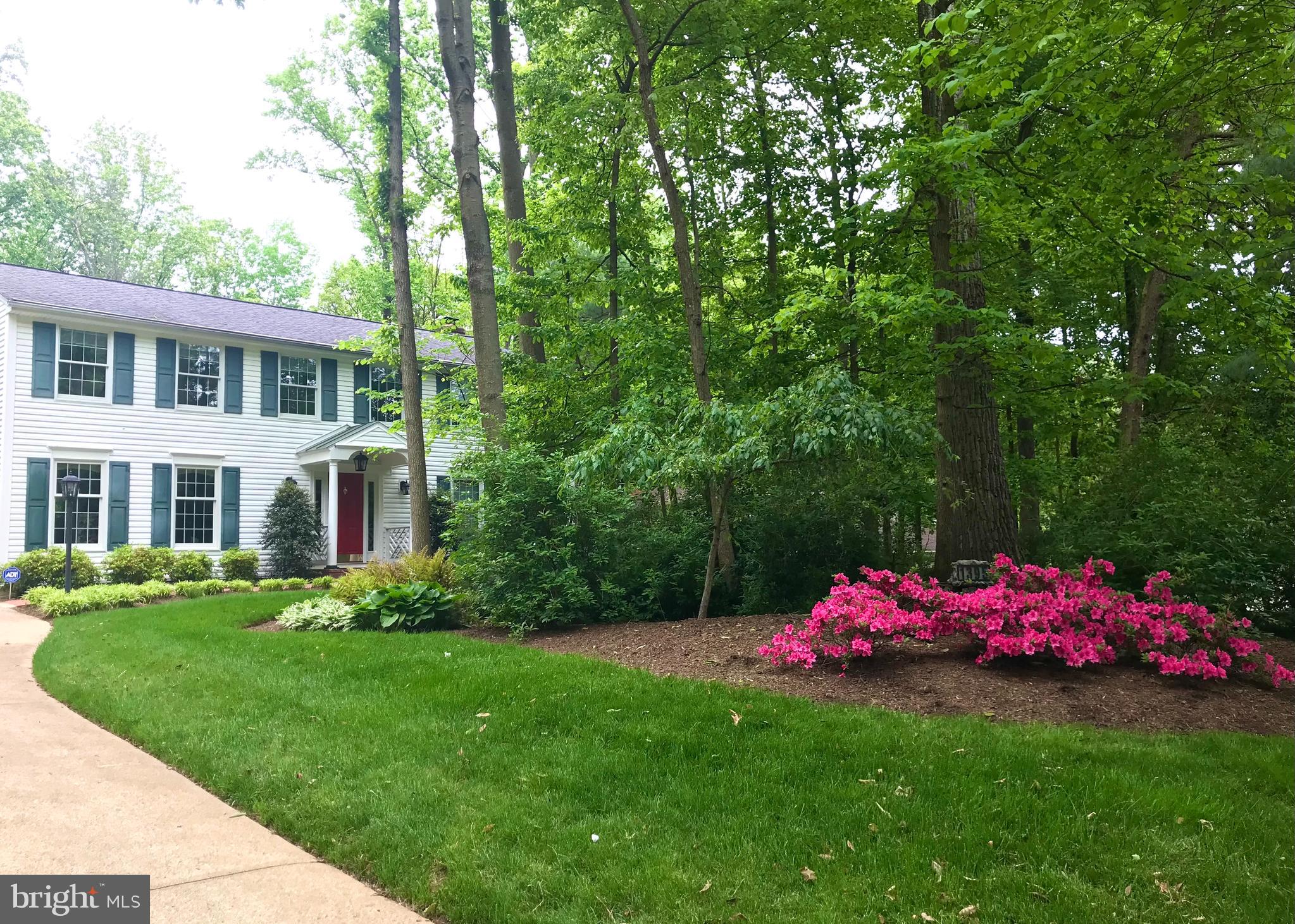1395 Concord Point Lane Reston, VA 20194 - Photo 52 of 68 Hot pink azaleas in the spring