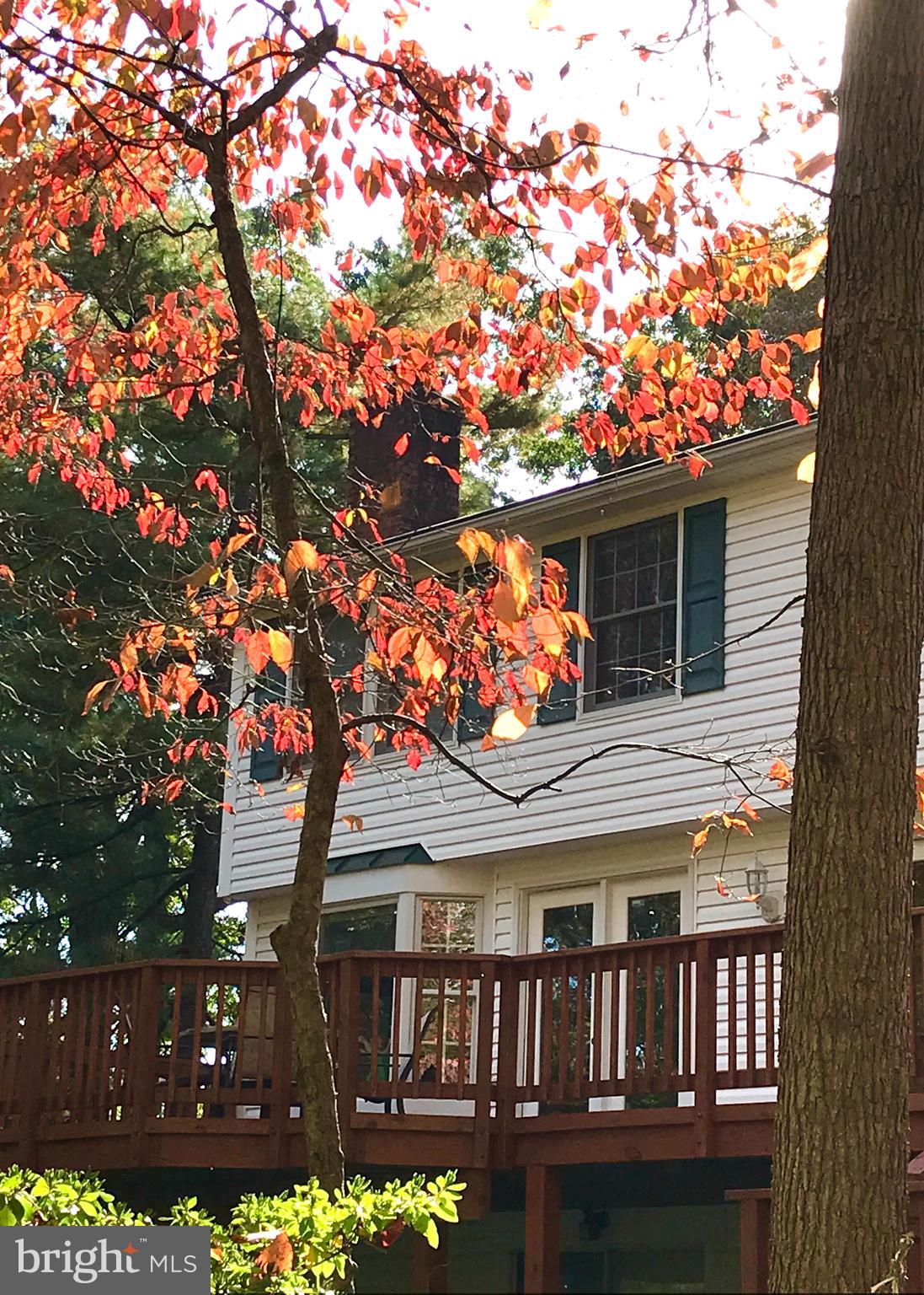 1395 Concord Point Lane Reston, VA 20194 - Photo 54 of 68 The color is year round