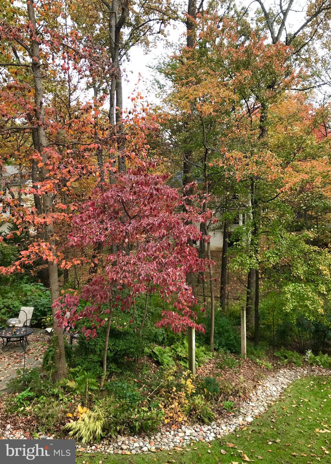 1395 Concord Point Lane Reston, VA 20194 - Photo 55 of 68 Fall Color as seen from the deck