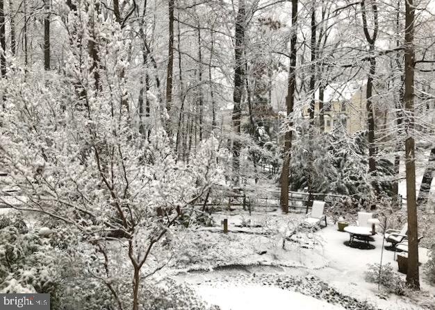 1395 Concord Point Lane Reston, VA 20194 - Photo 56 of 68 The winter is just as lovely as the other seasons