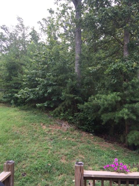 176 Mapleton Ridge Drive Northwest Cleveland, TN 37312 - Photo 30 of 33 26