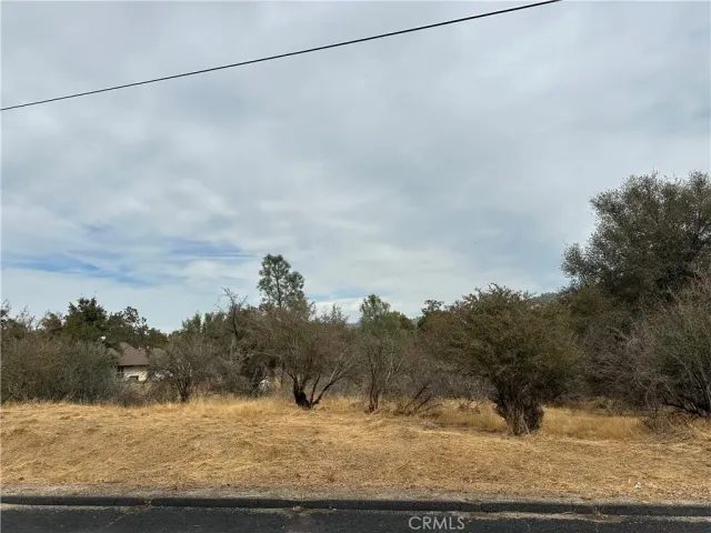 $30,000 | 0 Jim Bowie Court, Coarsegold, CA 93614
