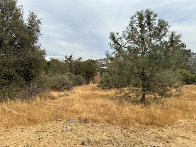 $30,000 | 0 Jim Bowie Court, Coarsegold, CA 93614
