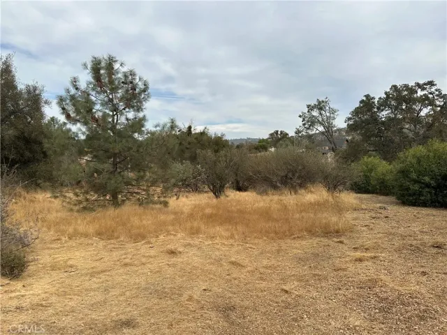 $30,000 | 0 Jim Bowie Court, Coarsegold, CA 93614