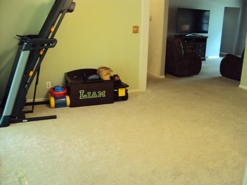 719 Ruth Avenue Holland, MI 49423 - Photo 8 of 14 DSC01315