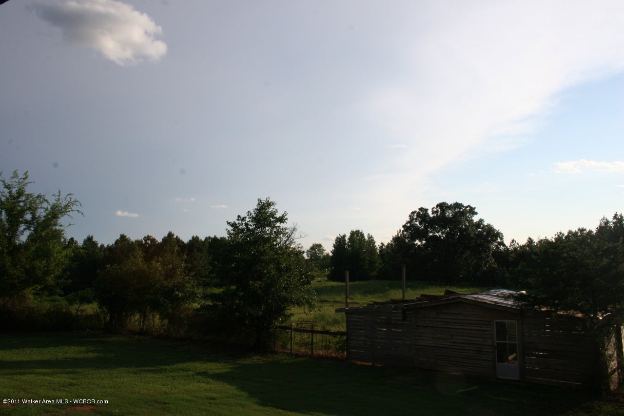 840 Ridge Row Road Parrish, AL 35580 - Photo 3 of 13 Gallery Image 3