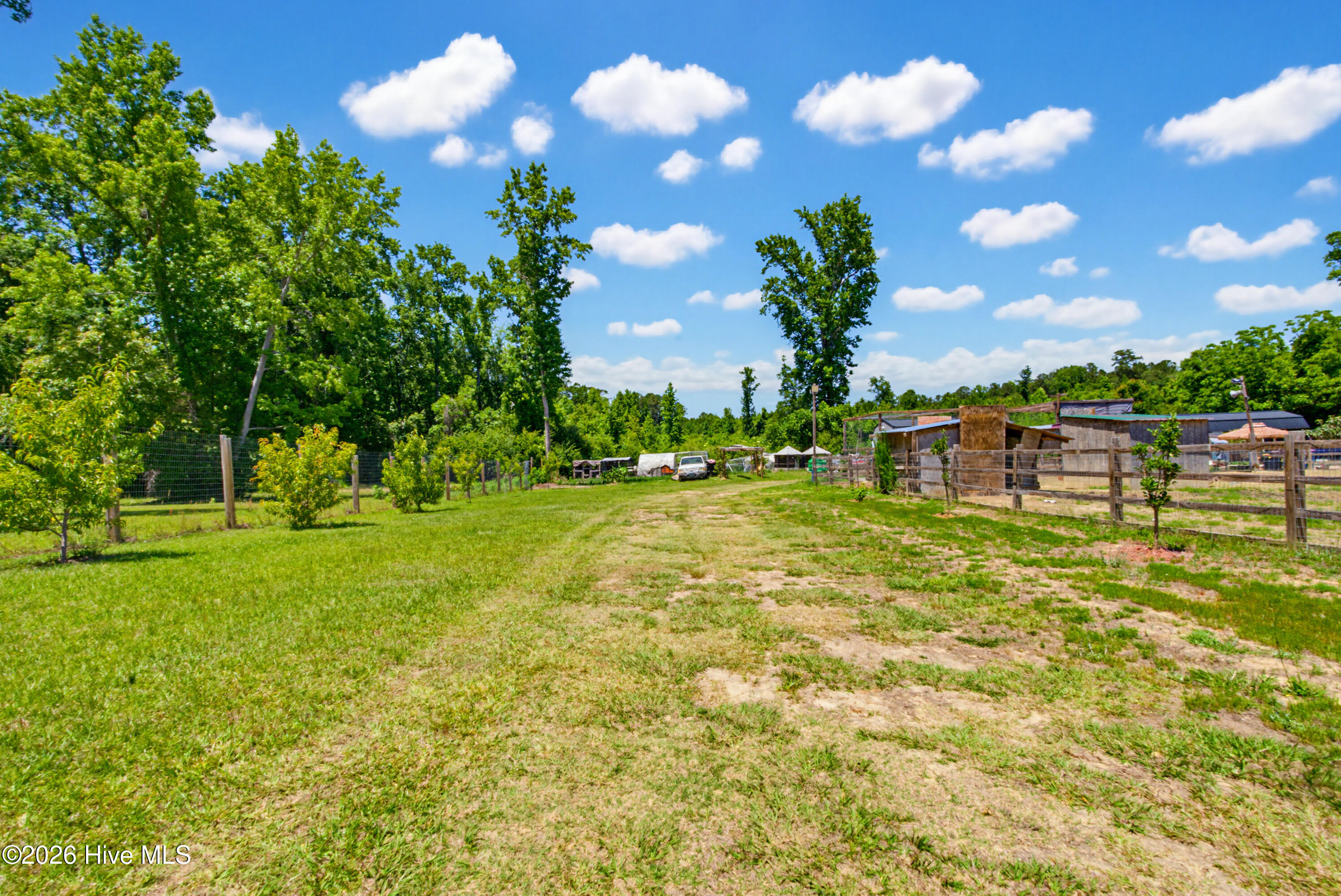 6615 Silver Spoon Road Clarkton, NC 28433 - Photo 26 of 53 MLS_Ready (14 of 40)
