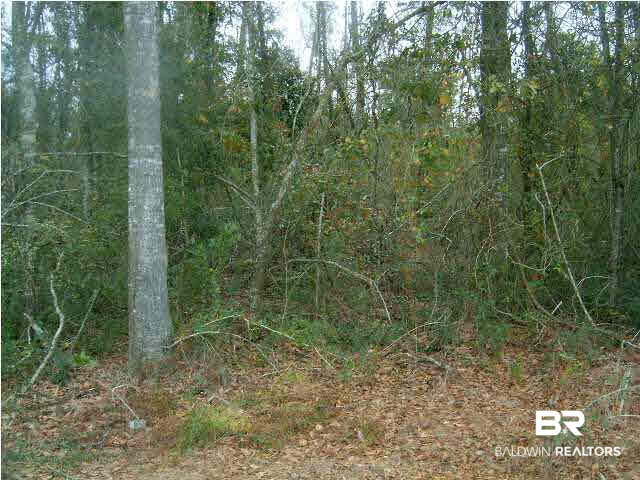 8073 Hilltop Street Mobile, AL 36619 - Photo 1 of 1