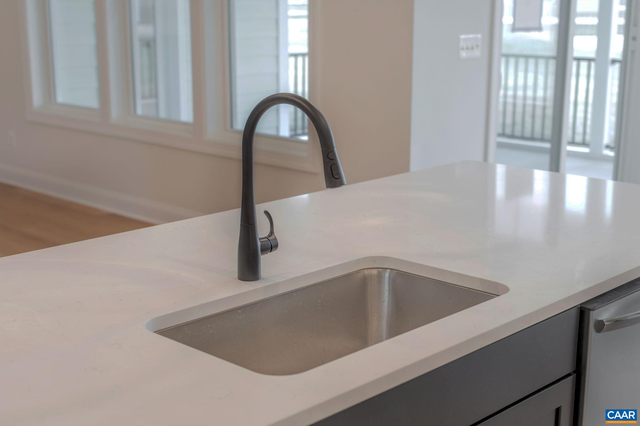 3012 Miranda Crossing Charlottesville, VA 22901 - Photo 19 of 57 a close view of sink