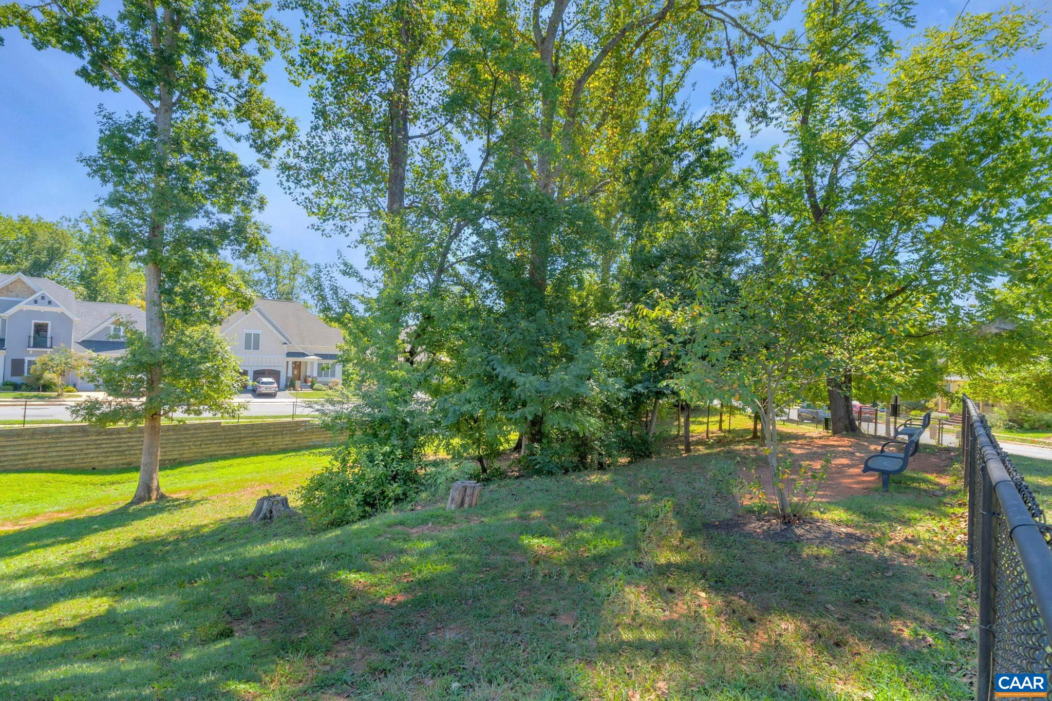 3012 Miranda Crossing Charlottesville, VA 22901 - Photo 57 of 57 a view of yard with swimming pool and trees