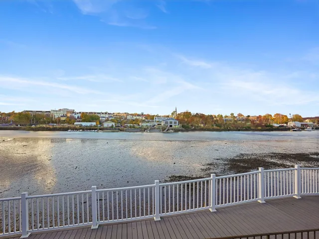 a view of city and lake