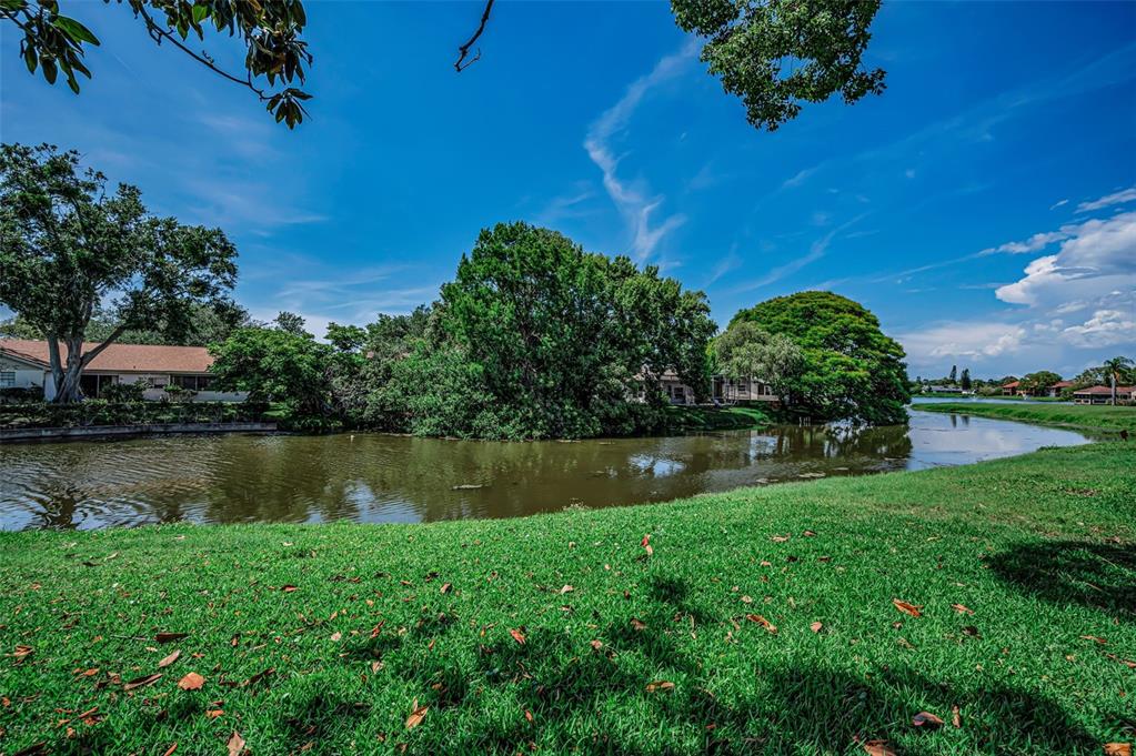 3835 Lighthouse Way New Port Richey, FL 34652 - Photo 5 of 78