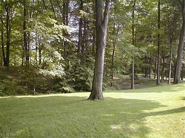1572 Middleton Road Hudson, OH 44236 - Photo 6 of 23