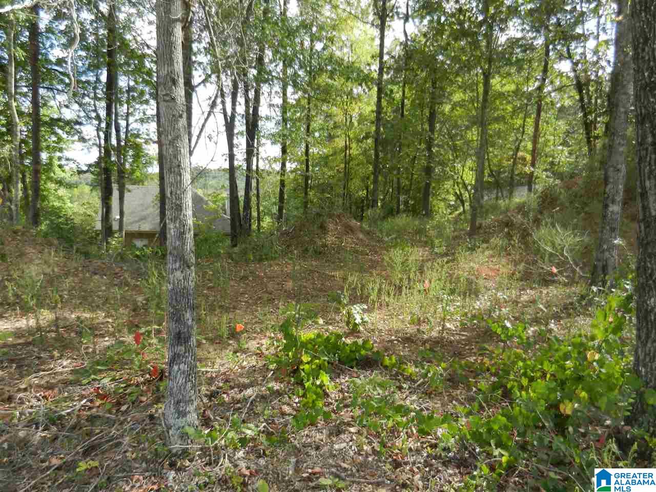 3000 Chelsea Ridge Trail, Unit 33 Chelsea, AL 35051 - Photo 2 of 5