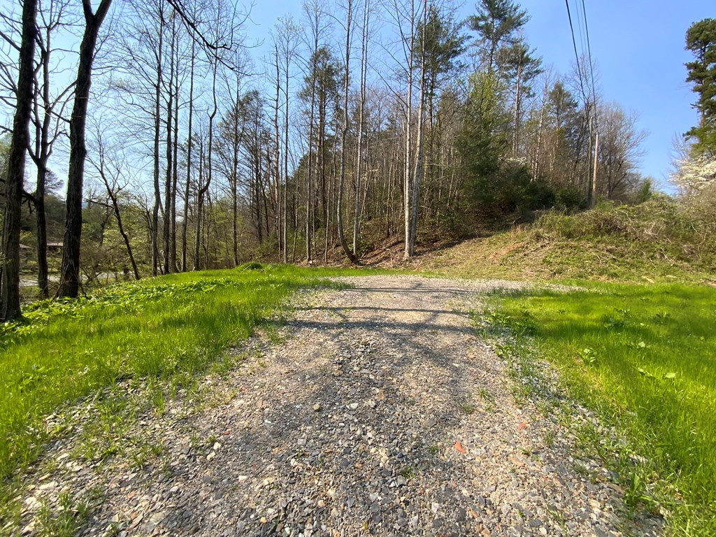 1000 Hyatt Creek Road Marble, NC 28905 - Photo 3 of 15