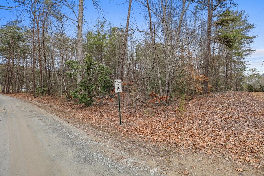 Lot 5 Red Bird Blue Ridge Blue Ridge, GA 30513 - Photo 12 of 16 Gallery Image 12