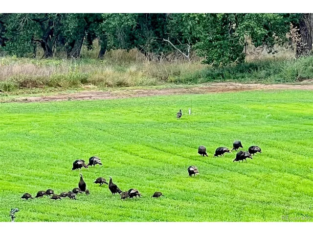 $7,900,000 | Undisclosed Address, Kersey, CO 80644