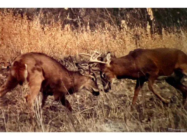 $7,900,000 | Undisclosed Address, Kersey, CO 80644