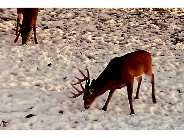 $7,900,000 | Undisclosed Address, Kersey, CO 80644