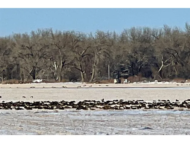 $7,900,000 | Undisclosed Address, Kersey, CO 80644