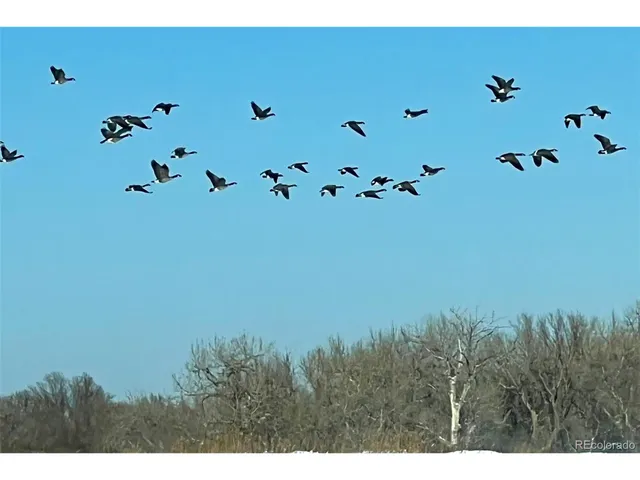 $7,900,000 | Undisclosed Address, Kersey, CO 80644