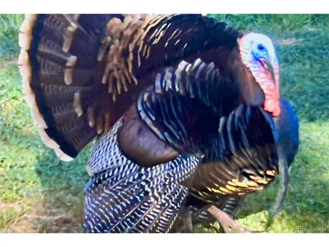 $7,900,000 | Undisclosed Address, Kersey, CO 80644