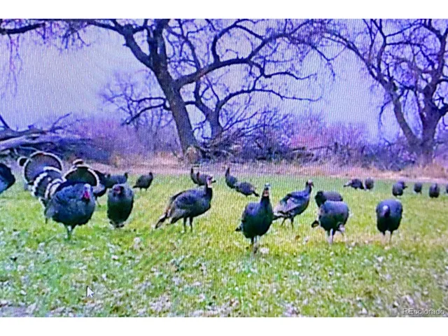 $7,900,000 | Undisclosed Address, Kersey, CO 80644