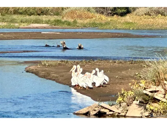 $7,900,000 | Undisclosed Address, Kersey, CO 80644