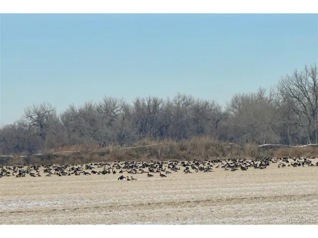 $7,900,000 | Undisclosed Address, Kersey, CO 80644