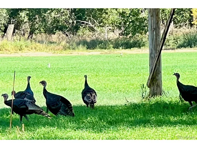 $7,900,000 | Undisclosed Address, Kersey, CO 80644