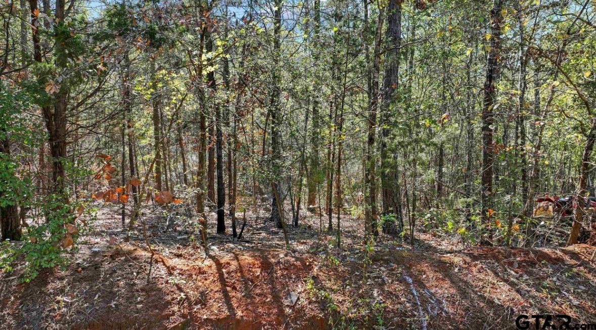 2015 St Tyler Tx 75708 Tyler, TX 75708 - Photo 1 of 4 a view of a forest with trees in the background