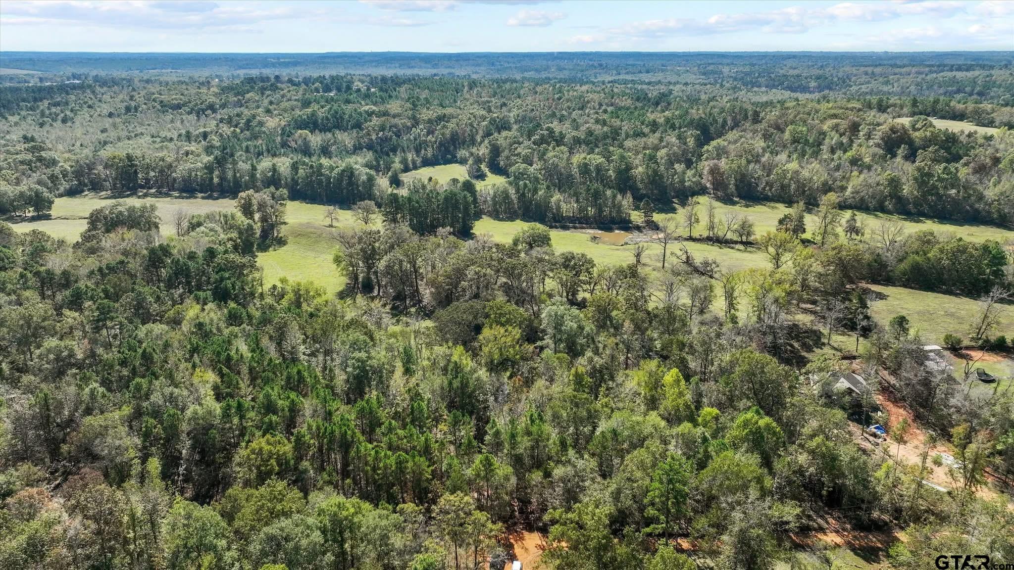 2015 St Tyler Tx 75708 Tyler, TX 75708 - Photo 3 of 4 a view of a forest with a mountain in the background