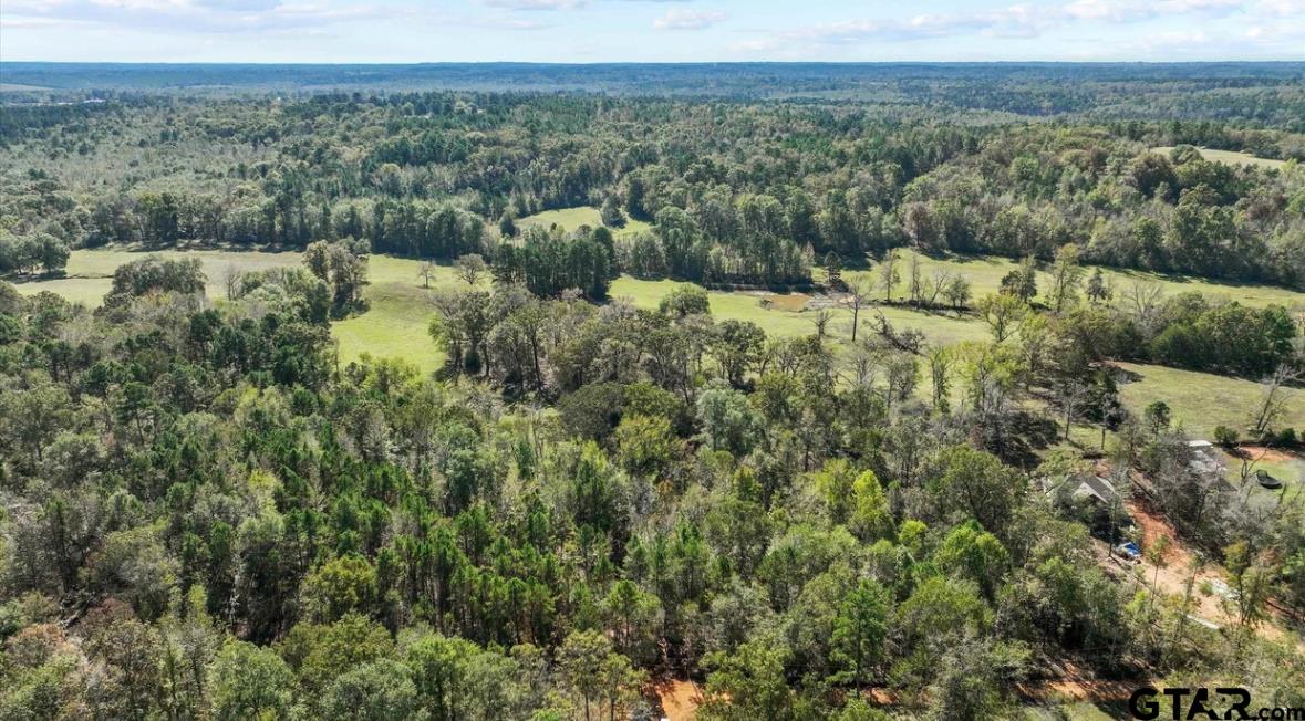 2015 St Tyler Tx 75708 Tyler, TX 75708 - Photo 4 of 4 a view of a forest with a mountain in the background