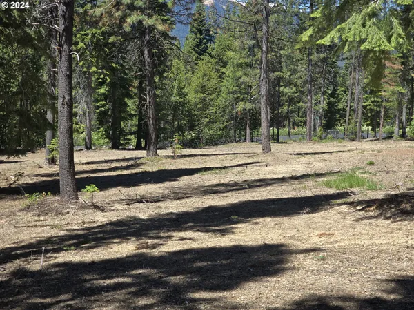 a view of a yard with large trees