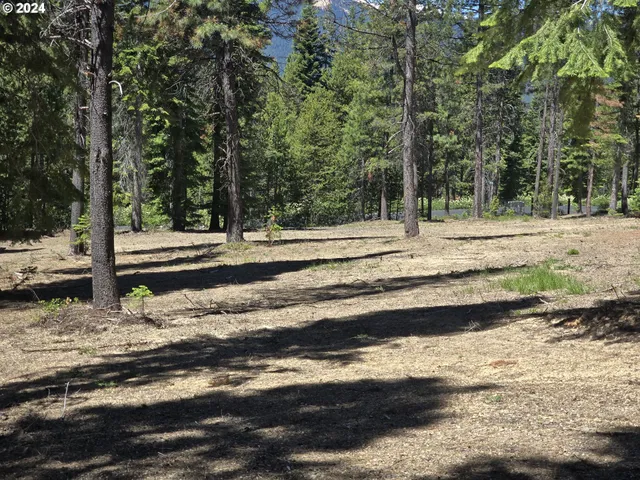 a view of a yard with large trees