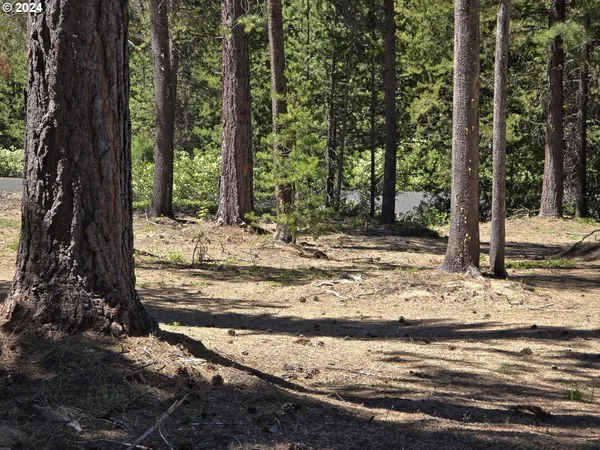 a view of a snow covered with snow