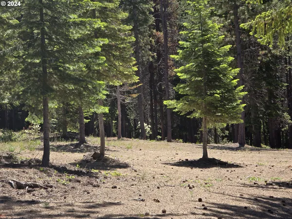 a view of a bench in the middle of a yard