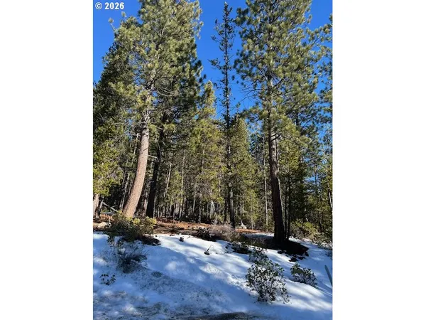 a view of a city with tall trees