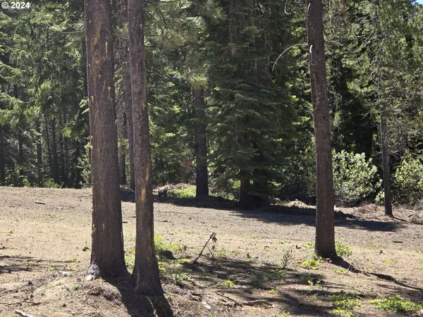 a view of a road from a yard