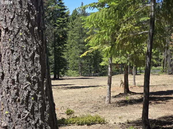 a view of yard covered with snow